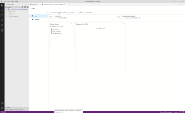 Azure Data Studio shows basic dashboard direct after first connection to sql server in a docker container